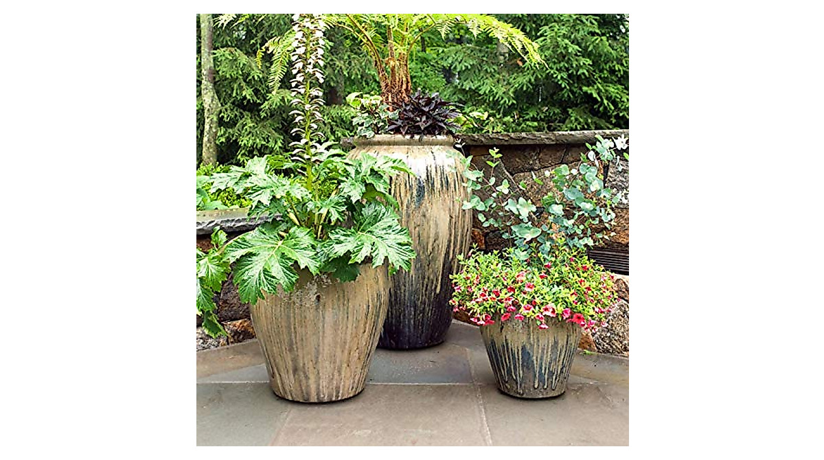 20 Pack Invisible Plant Risers for Heavy Pots - USA Made