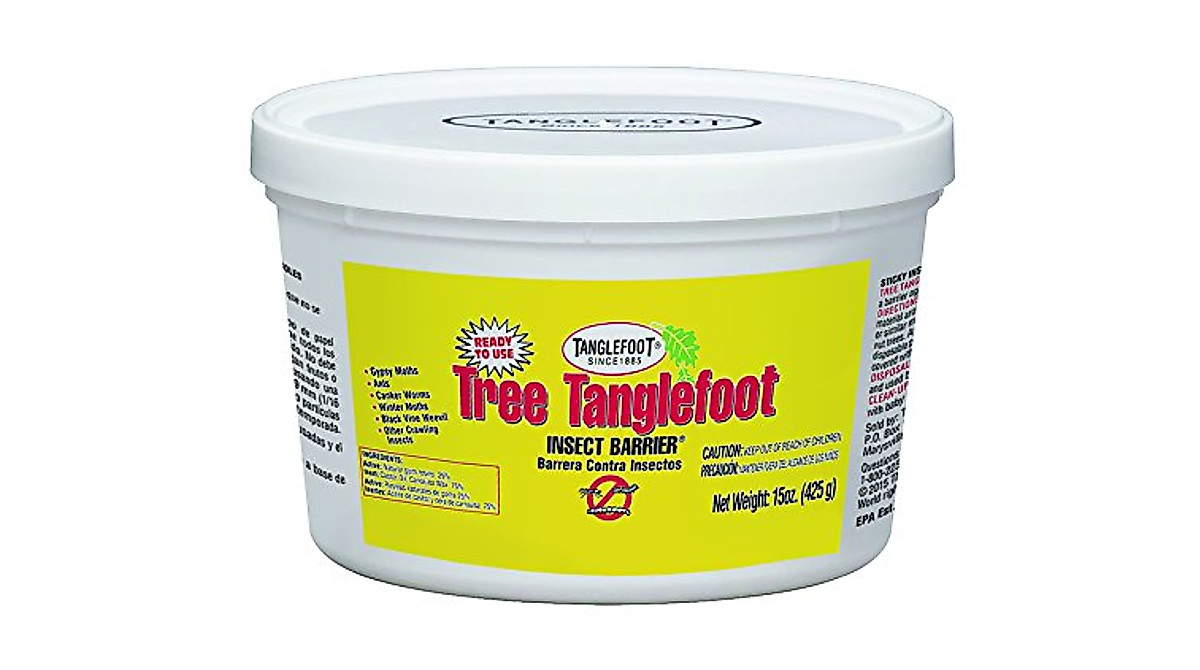 Tanglefoot Insect Barrier 15 oz. - Protect Trees from Insects Effectively