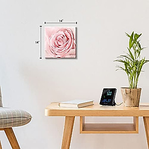 Pink Bathroom Decor - Pink Rose Canvas Wall Art for Home & Bedroom