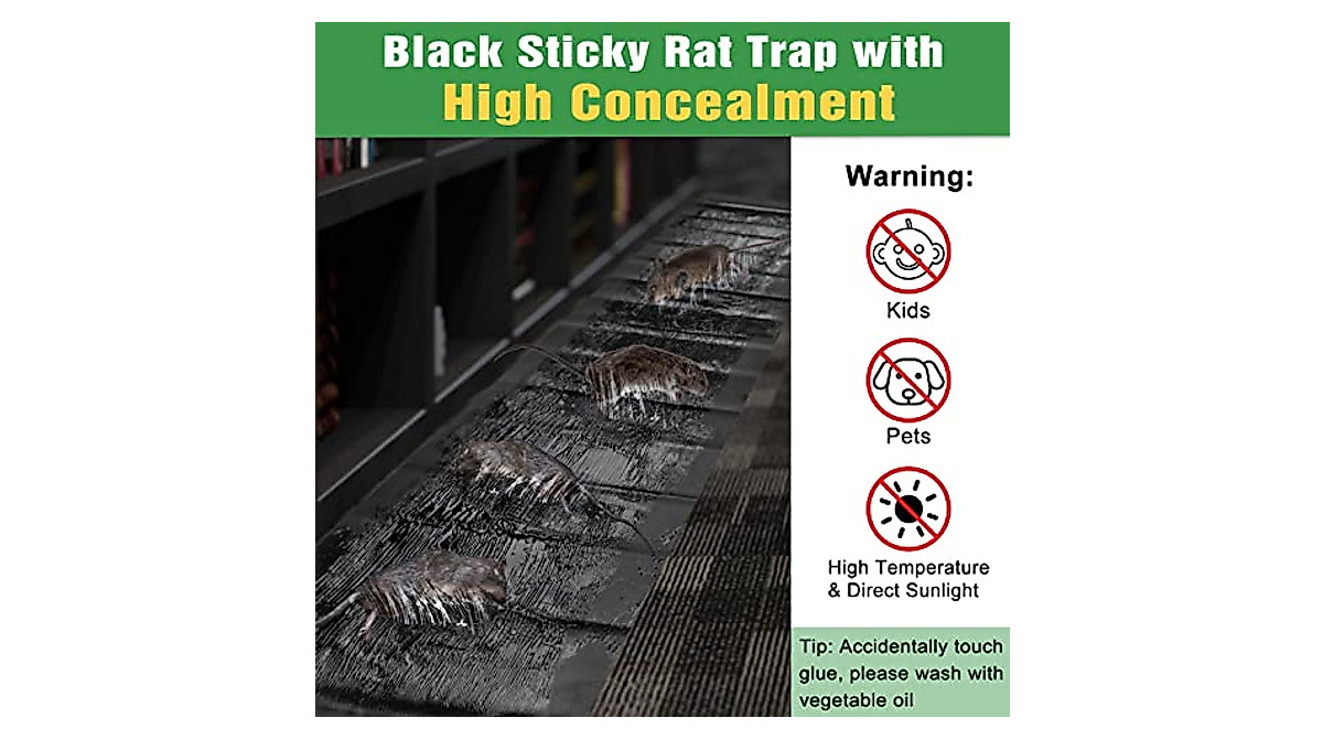 6 Pack Large Sticky Mouse Traps for Mice and Rodents | Safe & Effective
