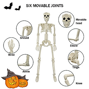 36-Inch Halloween Skeleton Decor - Realistic Posable Skeleton Prop