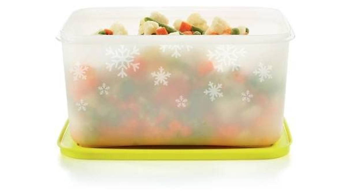 Buy Tupperware Utility Freezer Container - 2.5 L Multicolor