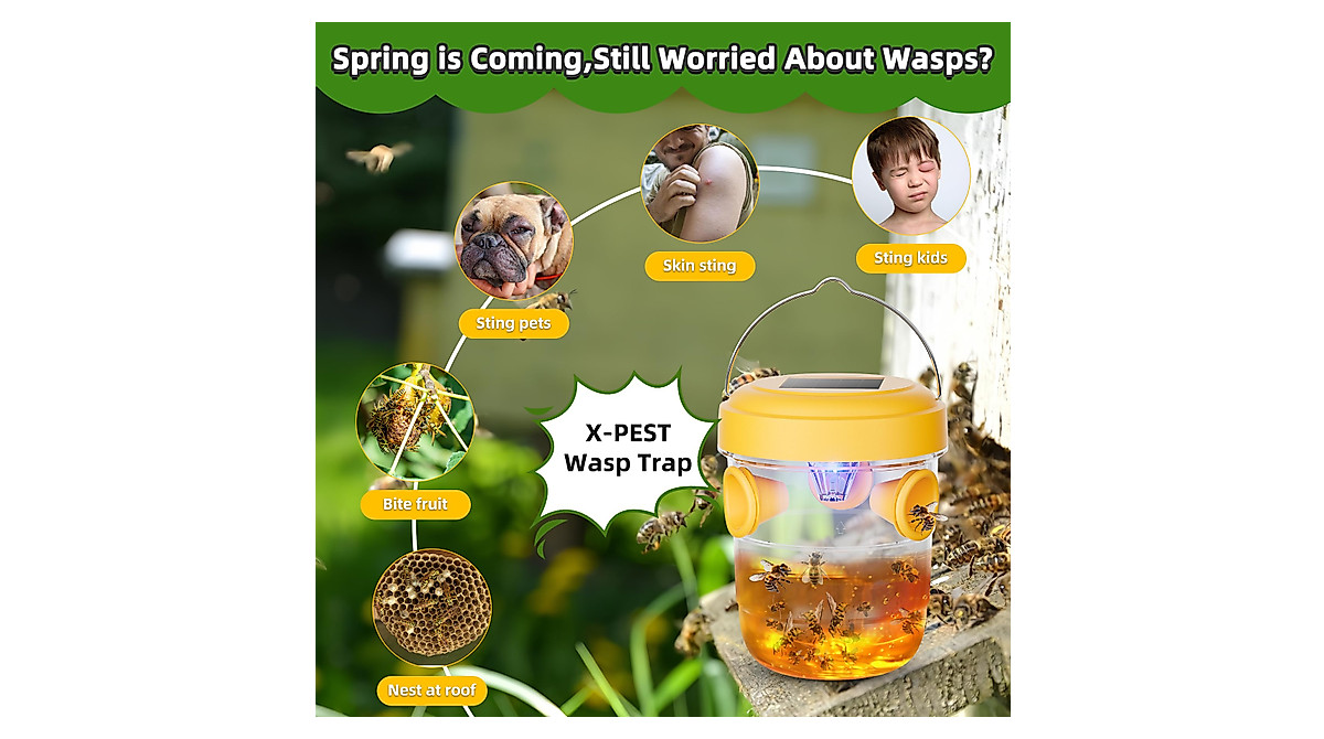 Solar Wasp Traps - Effective Outdoor Insect Control