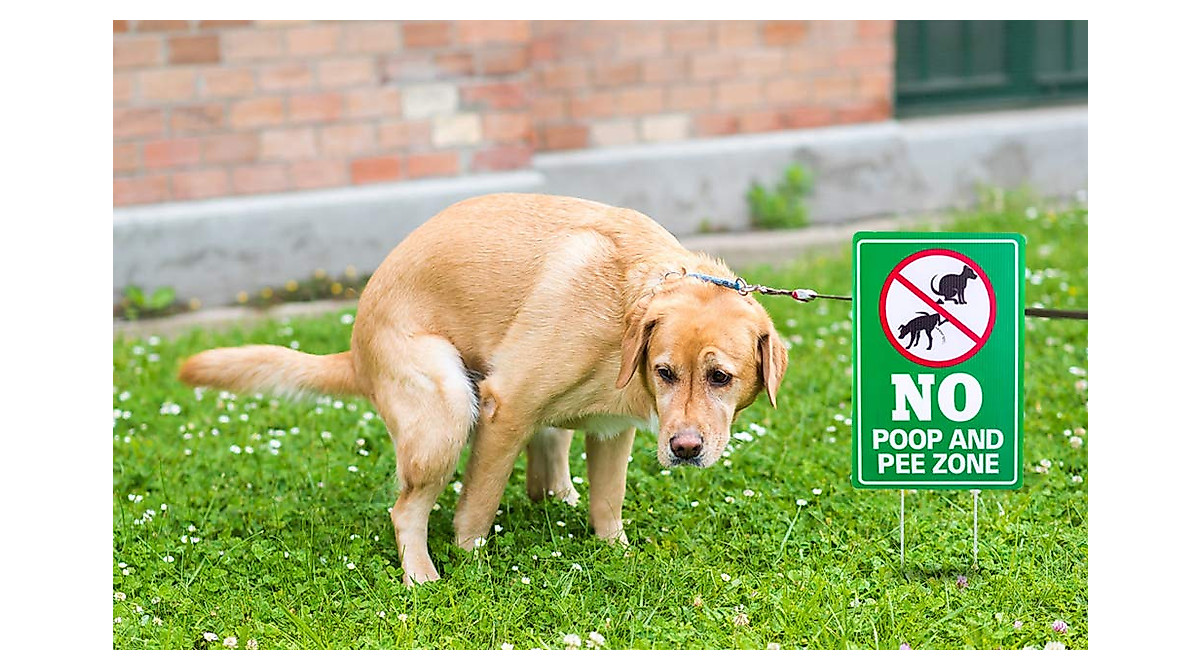 WaaHome Double-Sided No Poop Sign for Yards