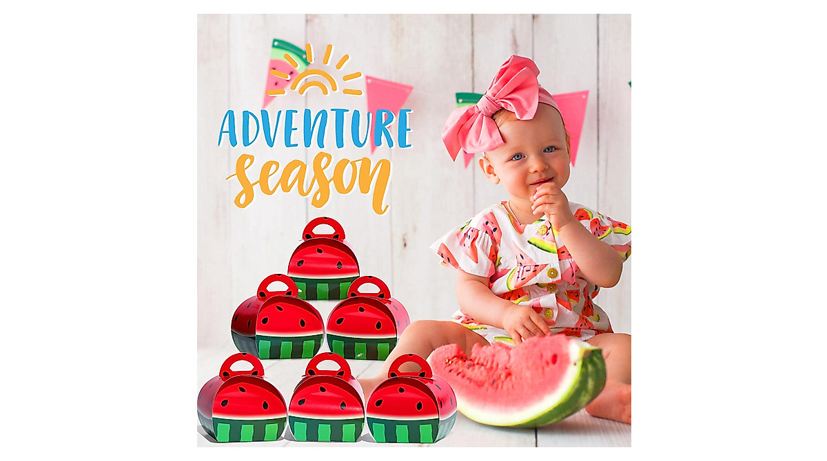 Watermelon Treat Boxes - Perfect for Summer Party Favors