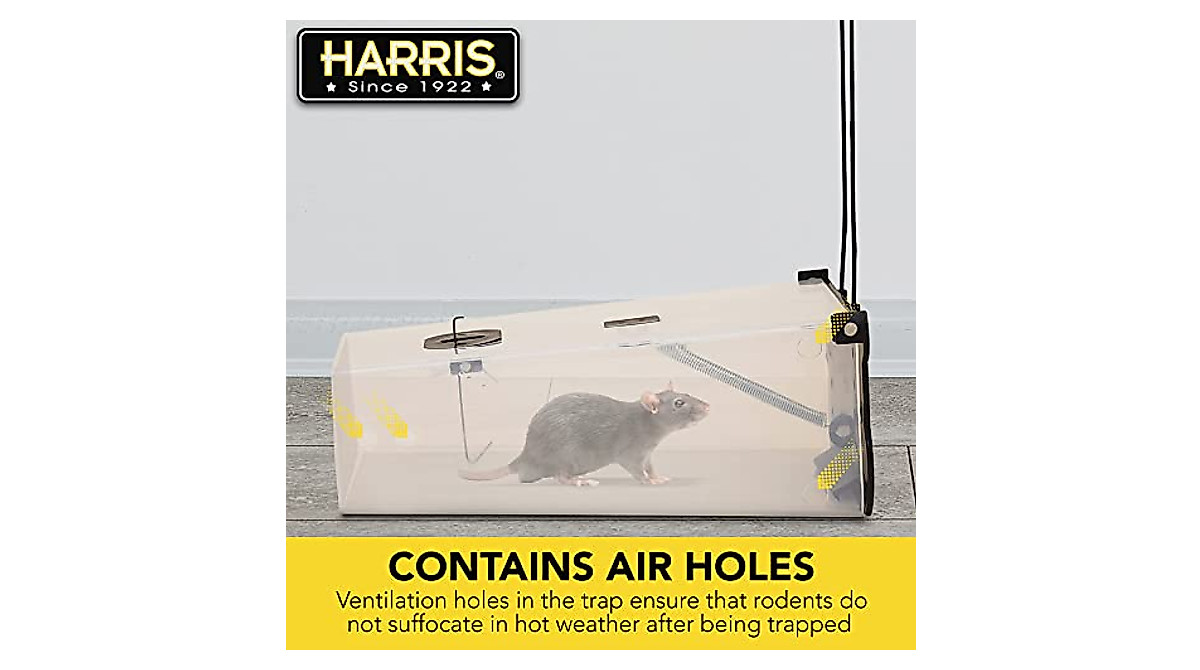 Harris Humane Animal Catch and Release Trap for Rodents