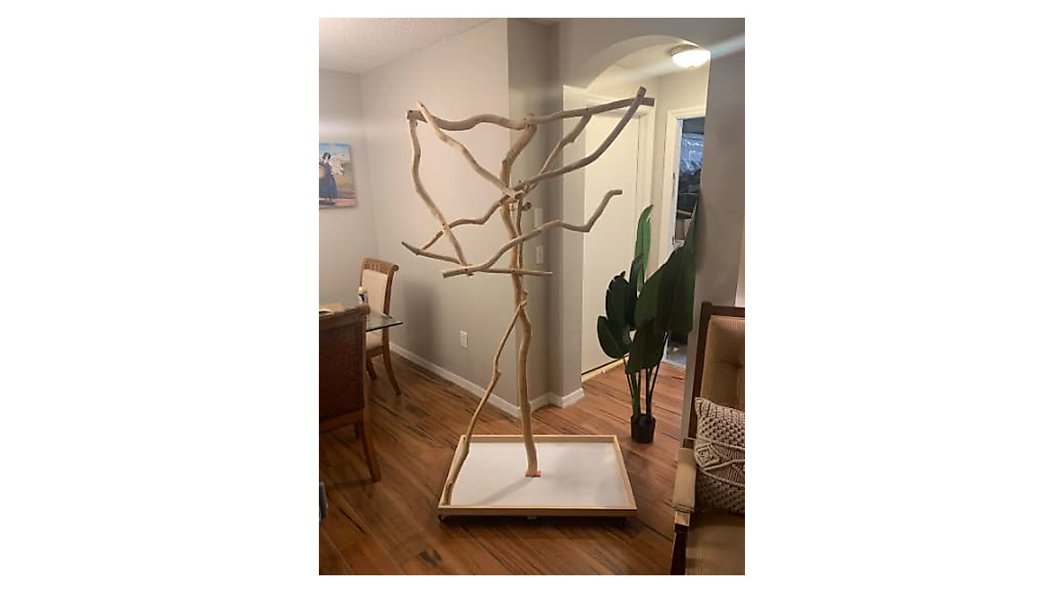 Gallery Detail: Exoticdad Parrot Stand Safe Custom Made Perches