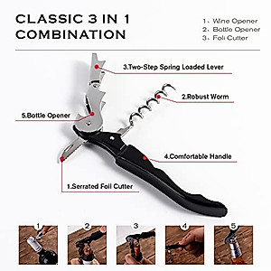 2 Pcs V Rod Bottle Opener And Pour Spout Remover,Double Ended Flat Metal Bar Speed Key Opener Multifunction Bottle Opener Stainless Steel Dog Bone Wine Bottle Opener For Bartenders Home Kitchen