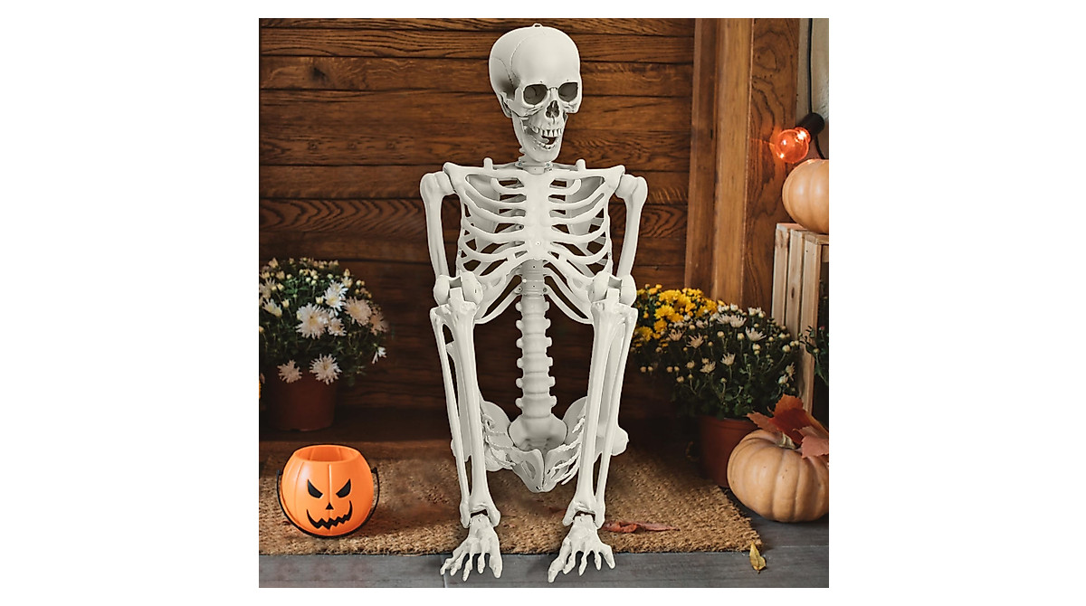 Halloween Life Size Skeleton - Realistic 5.4Ft Prop for Halloween Decor