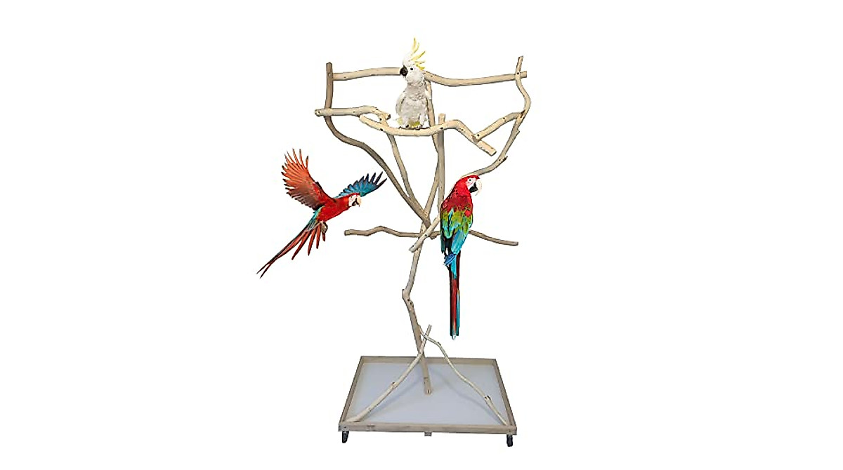 Image showcasing Exoticdad Parrot Stand: Safe & Custom Made Perches