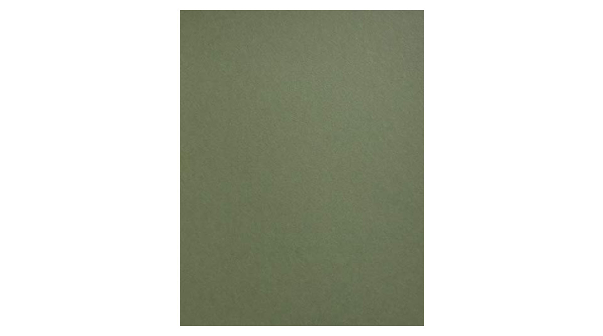 Colorplan Mid Green Cardstock - Heavyweight Quality
