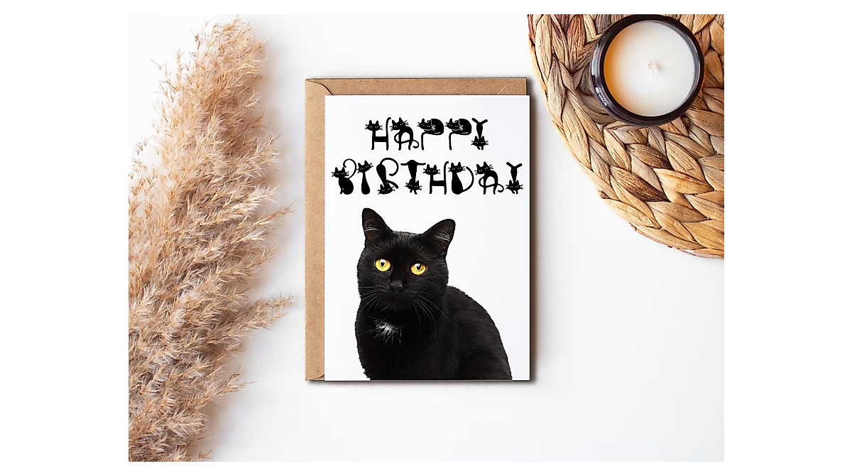 Funny Black Cat Birthday Card for Cat Lovers