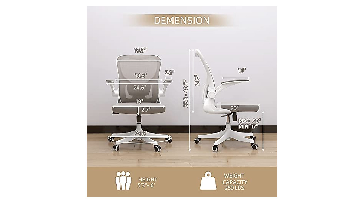 Monhey Ergonomic Office Chair with Lumbar Support & Flip-up Arms