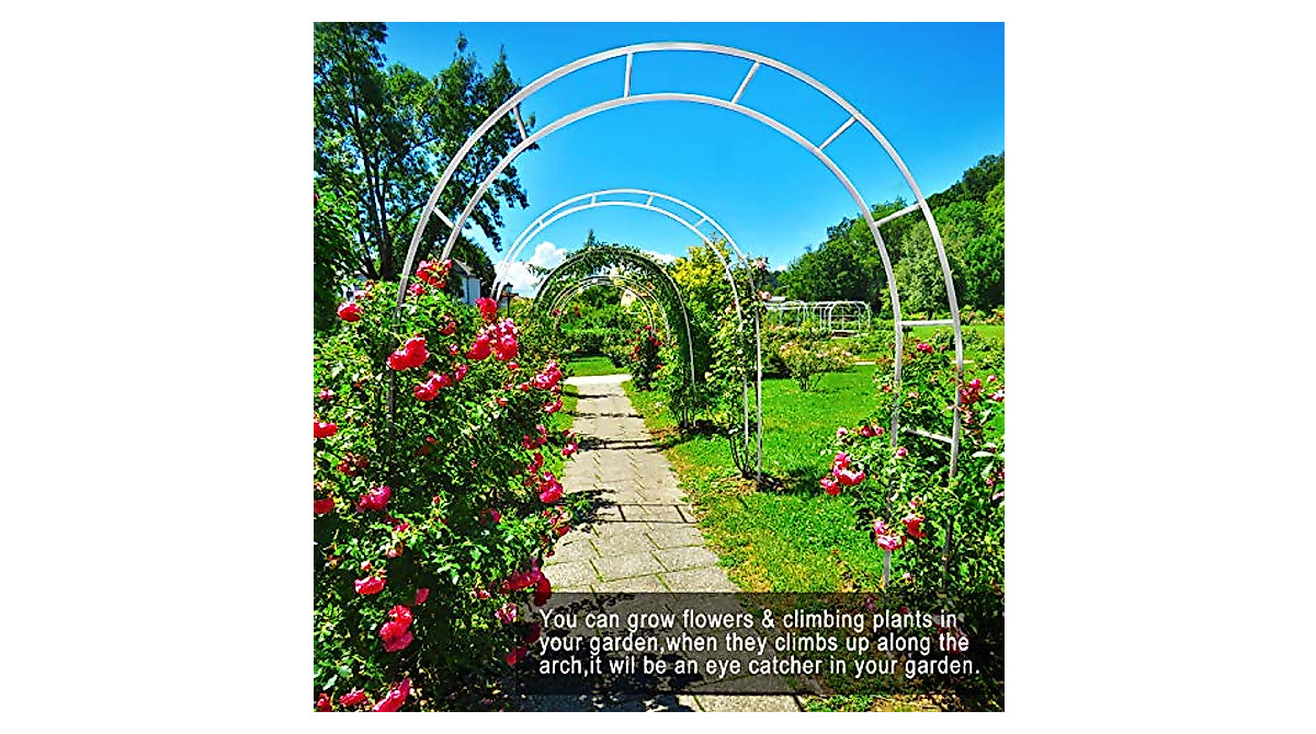 Garden Arch Trellis for Climbing Plants | Durable Outdoor Wedding Arch