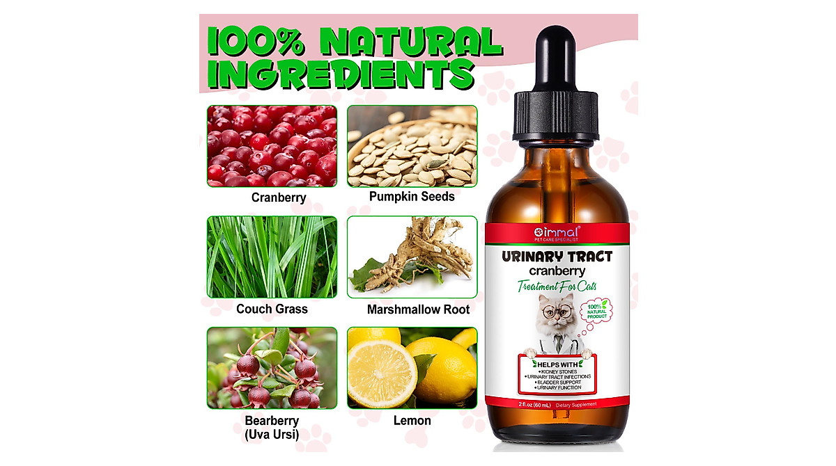 Natural Cat UTI Treatment Drops - 60 ml