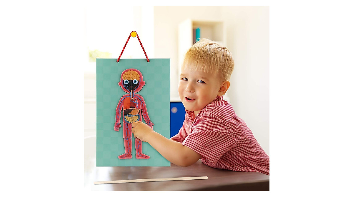 Human Body Puzzle for Kids - 90PCS Educational Toy