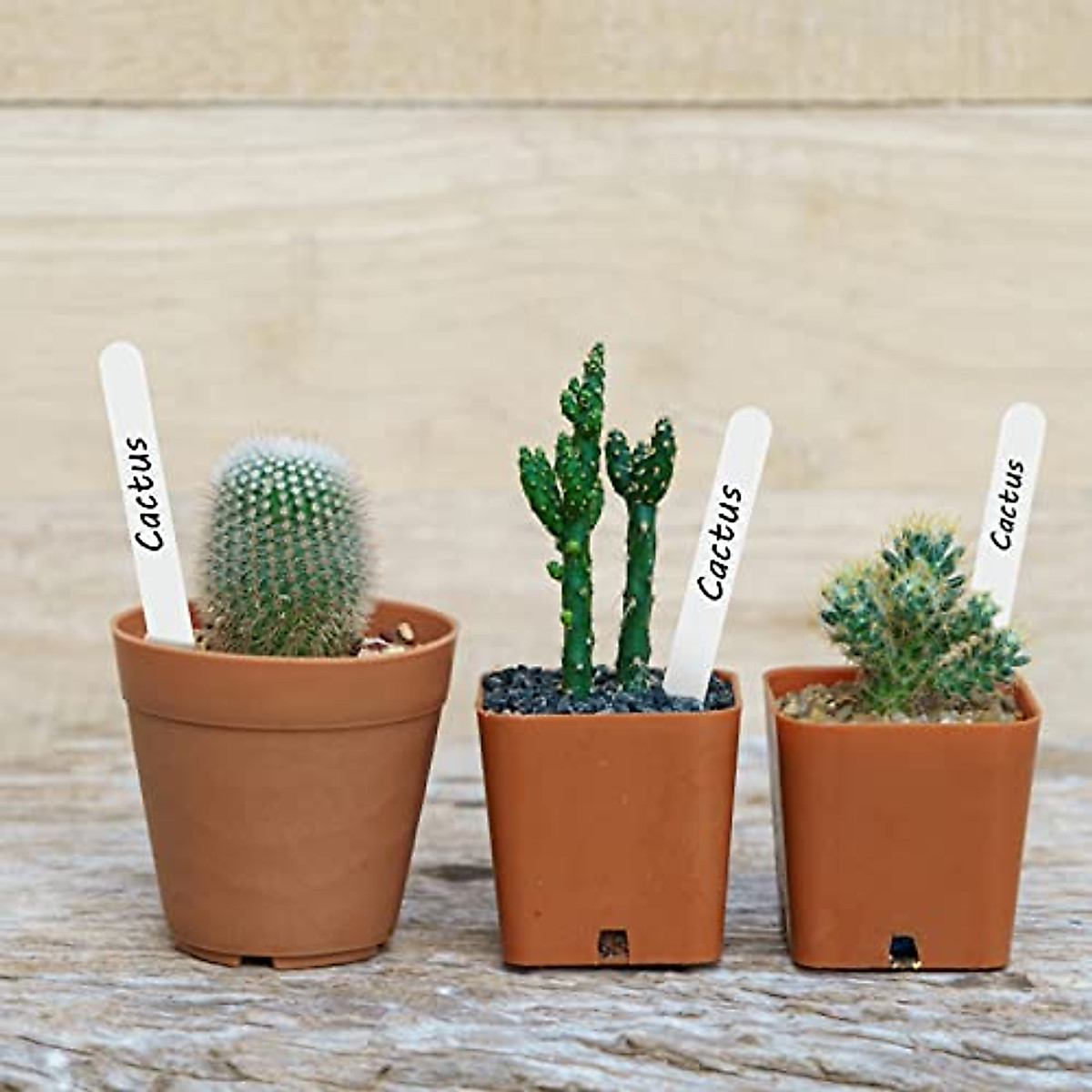 KINGLAKE 100 Pcs Waterproof Plant Labels - Easy & Durable Garden Stakes