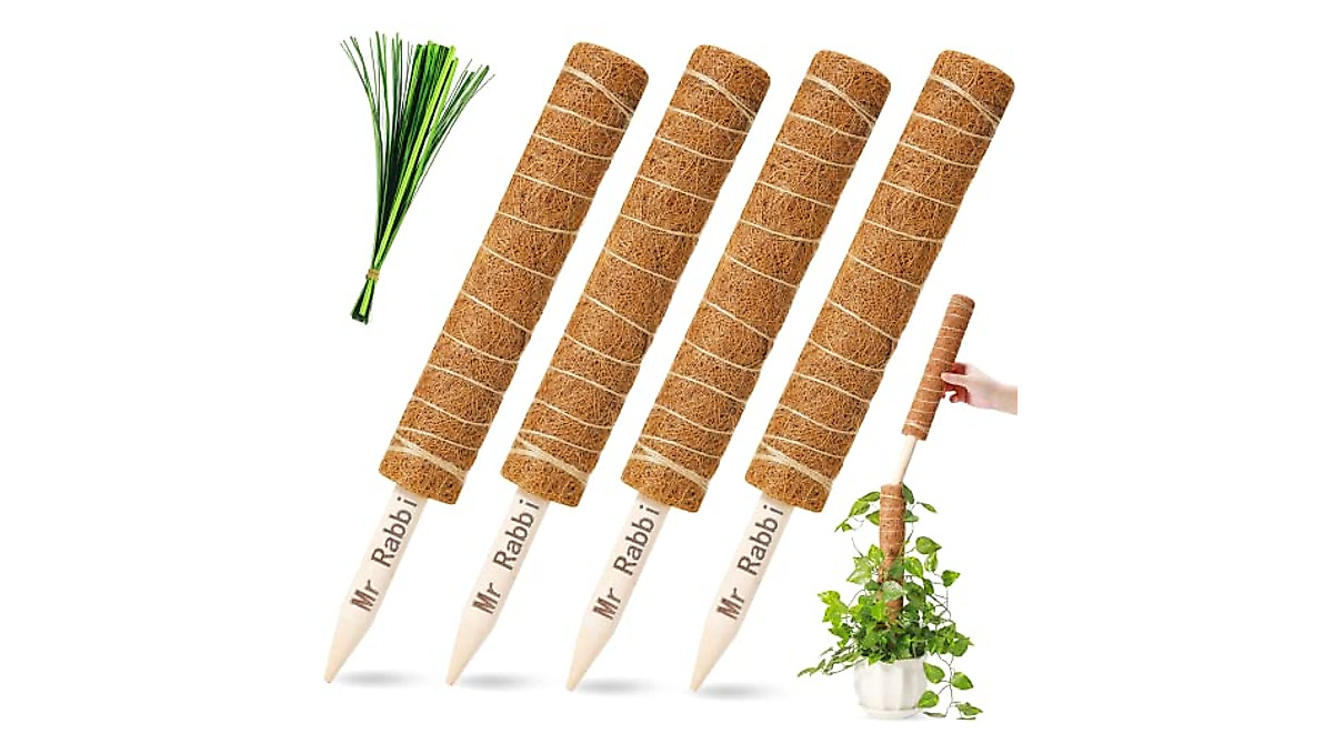 Mr Rabbi Coco Coir Moss Poles for Indoor Plants