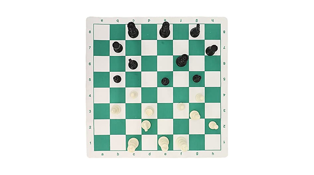 TOPINCN Portable Chess & Checkers Set for Fun Travel Games