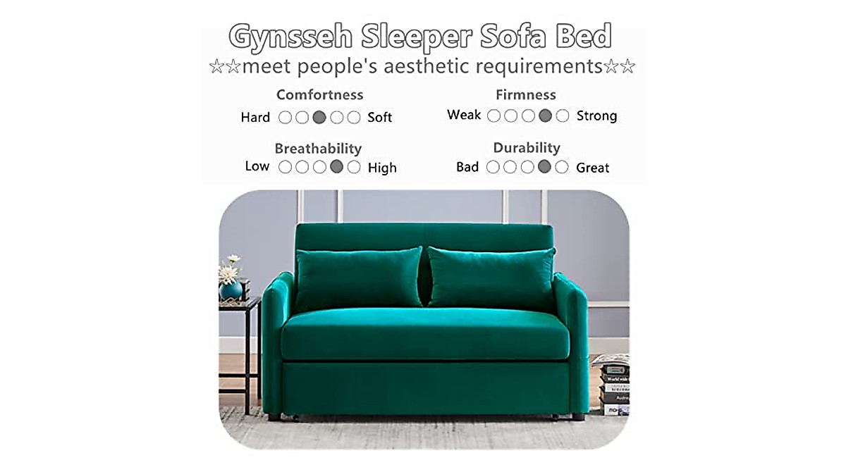 Gynsseh 3 in 1 Convertible Sleeper Sofa Bed
