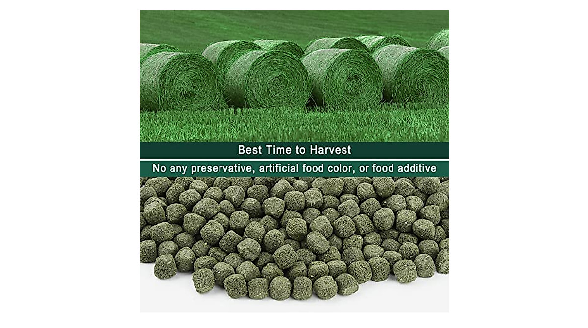 Natural Timothy Hay Cubes for Rabbits & Guinea Pigs