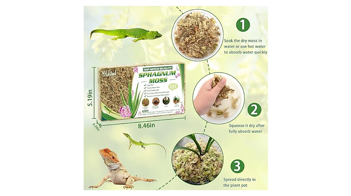 Halatool Grünes Moss - Natürliches Terrarienmoos Für Reptilien Und Pflanzen