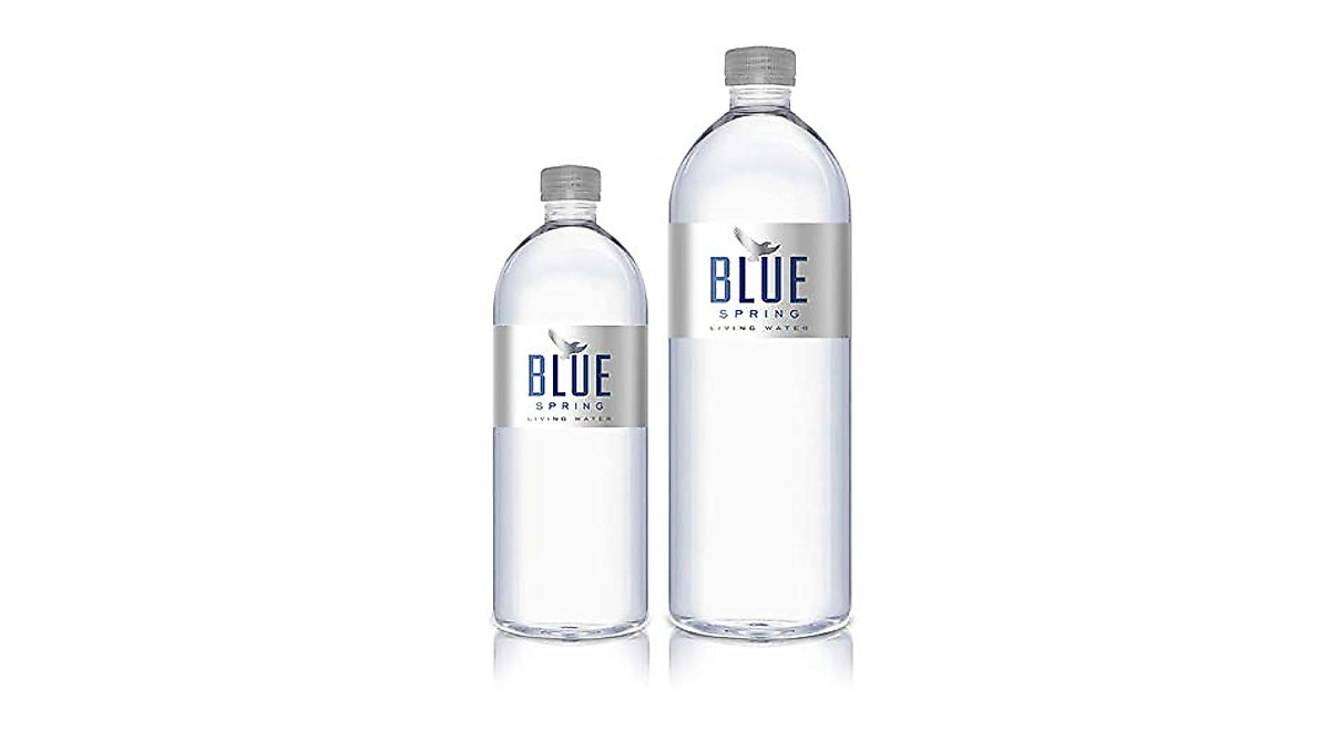Blue Spring Living Water – Pure Natural Spring Water 16.9 Fl Oz Pack of 12