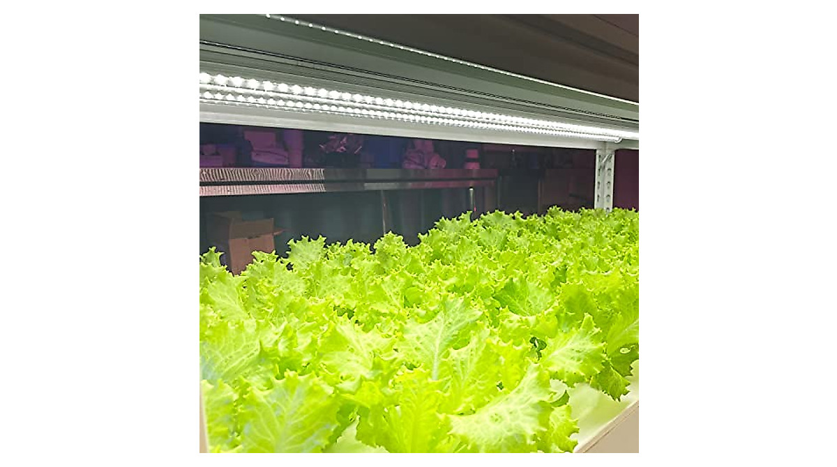 Monios-L Full Spectrum LED Grow Lights - 2-Pack 84W T8