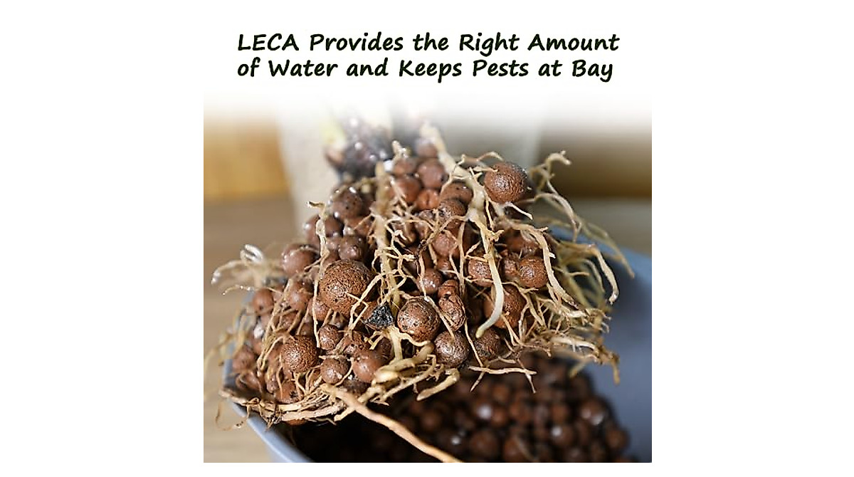 Premium 5LB LECA Balls for Hydroponics & Indoor Plants